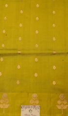 Banarasi Silk Saree