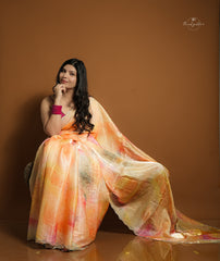 Fancy Saree  - Peach Color